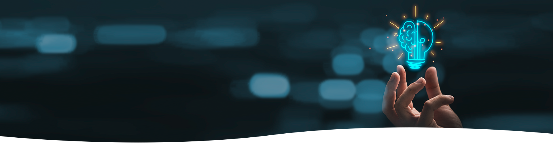 &nbsp;